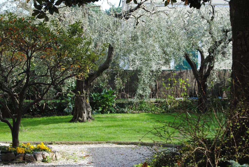 Bed and Breakfast Casa Simonetti Torre del Lago Puccini Exteriér fotografie